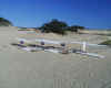 Kite & gliders nested s.jpg (128926 bytes)